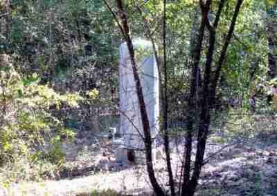 Utility box surrounded by trees and foliage.