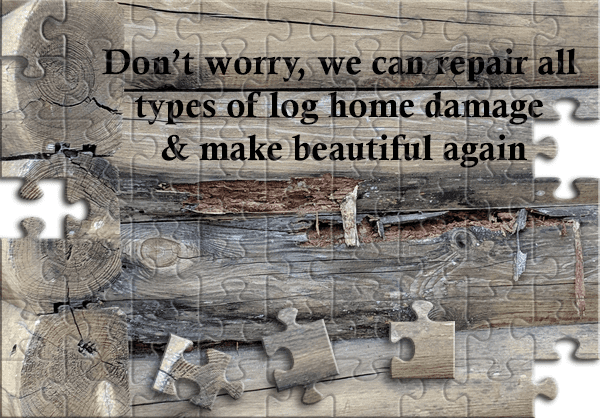 Log Home Repairs In Florida | Cypress Log Homes